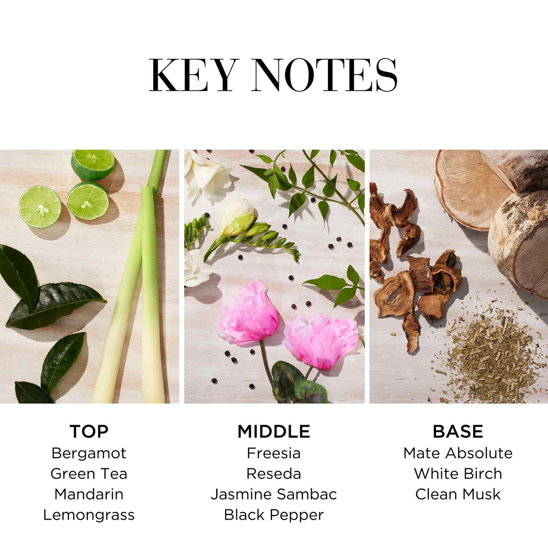 Key Notes- Top Bergamot Green Tea Mandarin Lemongrass, Middle Freesia, Reseda, Jasmine Sambac and Black Pepper, Base Mate Absolute, White Birch and Clean Musk