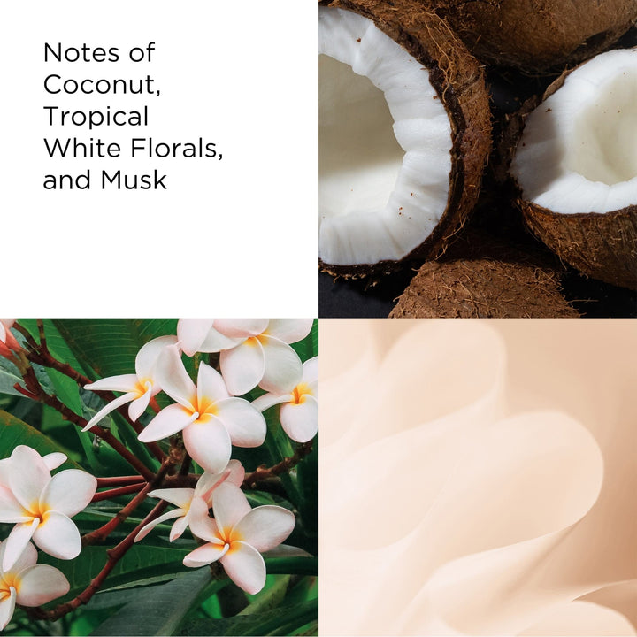 Notes of Coconut, Tropical White Florals and Musk