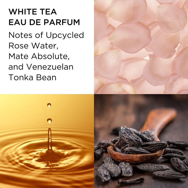 White Tea Eau de parfum Notes of Upcycled Rose Water, Mate Absolute, and Venezuelan Tonka Bean