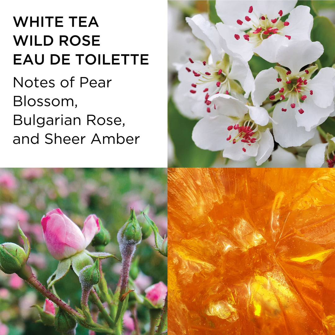 White Tea Wild Rose Notes of Pear Blossom, Bulgarian Rose, and Sheer Amber