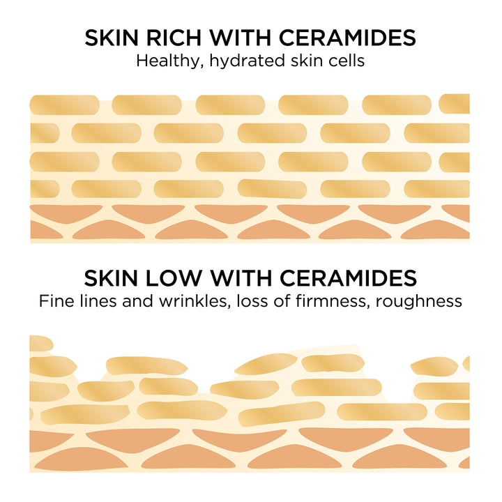 Skin rich with ceramides is healthy, hydrated skin cells vs skin low with ceramides has fine lines and wrinkles, loss of firmness and roughness