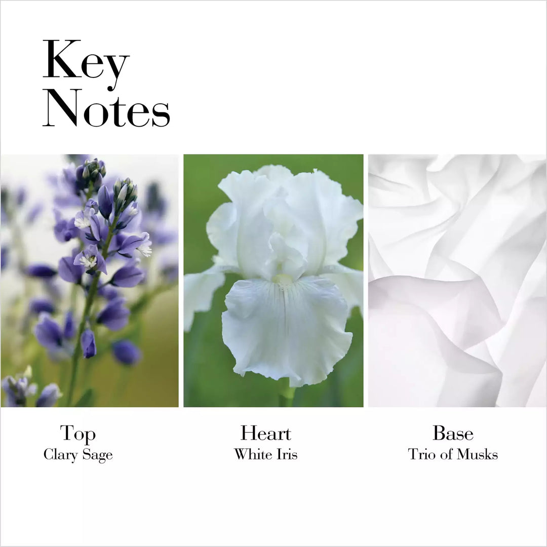 Key Notes: Top Clary Sage, Heart White Iris, Base Trio of Musks