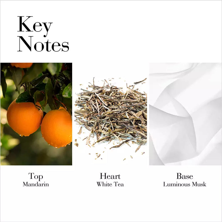 Key Notes - Top Mandarin, Middle White Tea, Base Luminous Musks