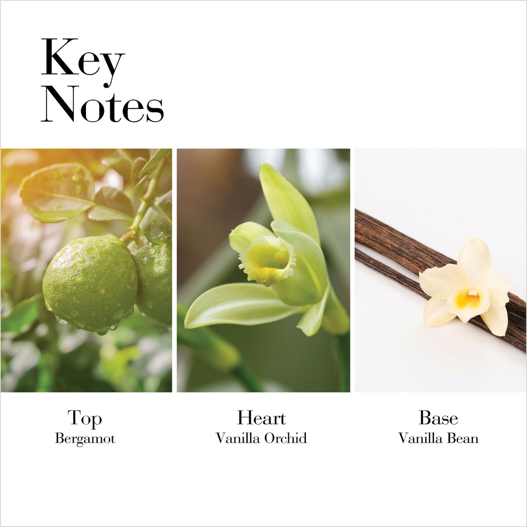 Key Notes- Top Bergamot, Heart Vanilla Orchid, Base Vanilla Bean