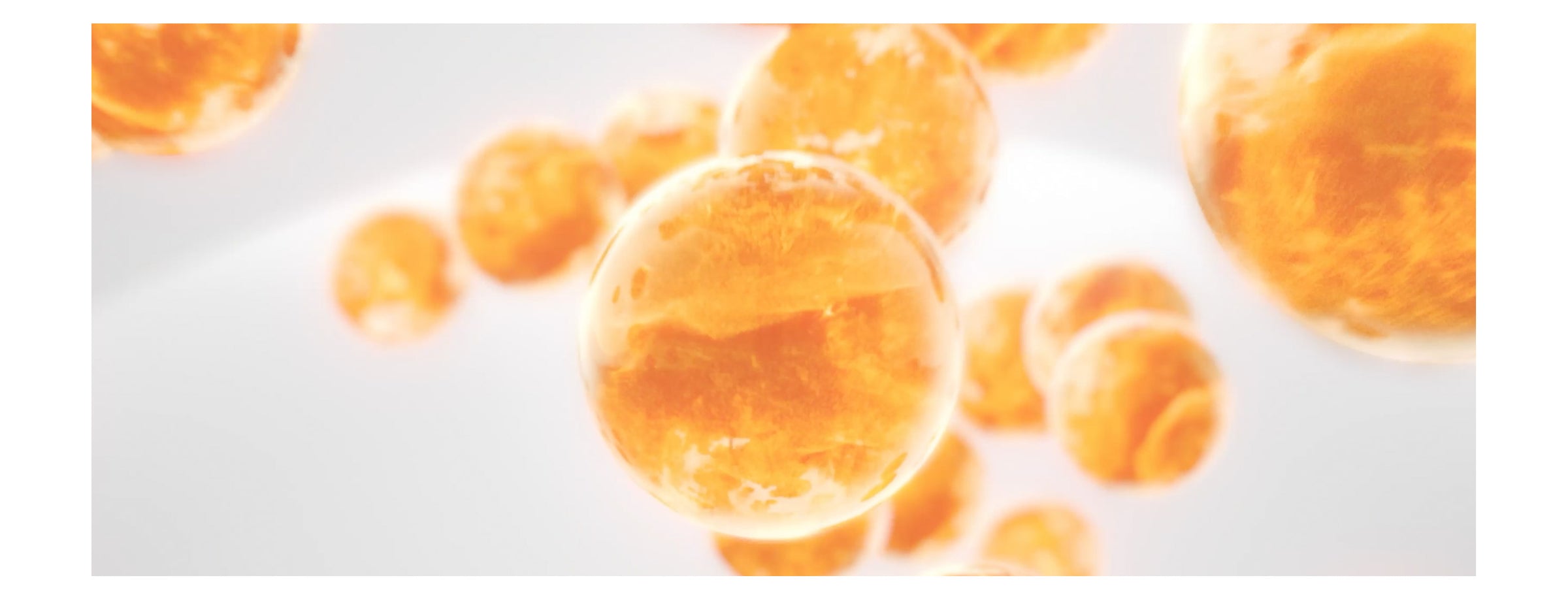Close-up of orange spherical objects on a white background