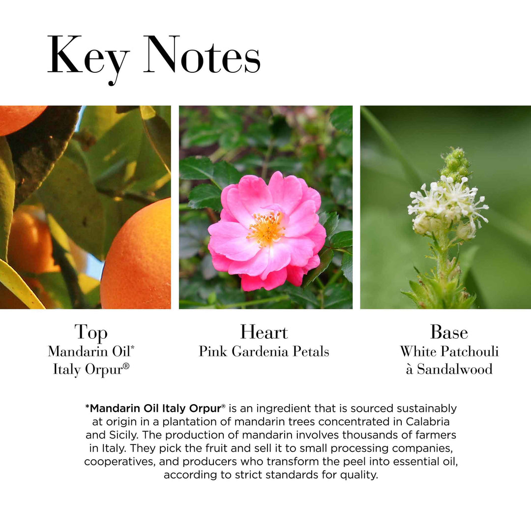 Key Notes- Top Mandarin Oil* Italy Orpur®, Heart Pink Gardenia Petals, Base White Patchouli & Sandalwood. Mandarin Oil Italy Orpur is an ingredient that is sourced sustainably at origin in Calabria and Sicily.