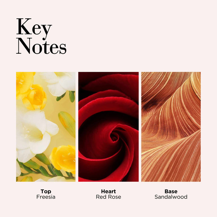 Key Notes- Top Freesia, Heart Red Rose, Base Sandalwood