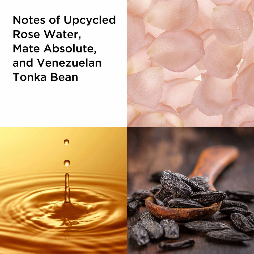 Notes of Upcycled Rose Water, Mate Absolute, and Venezuelan Tonka Bean