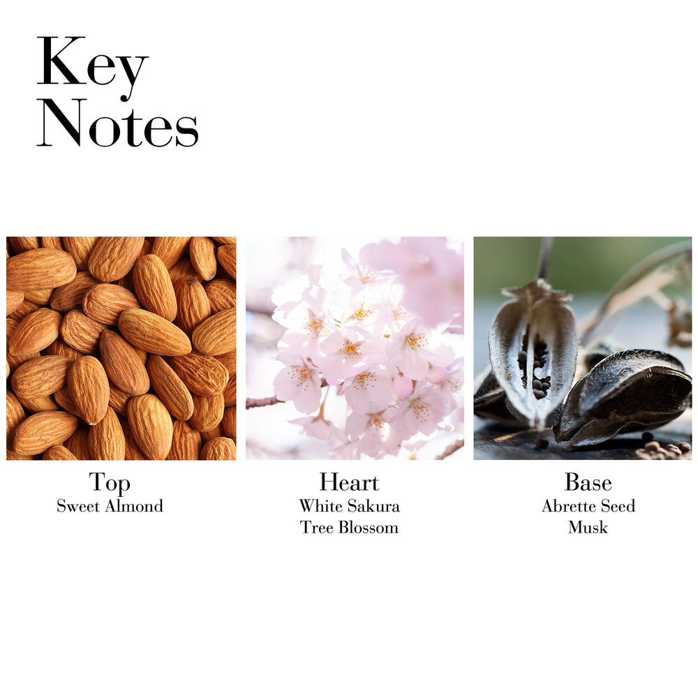 Key Notes- Top Sweet Almond, Heart White Sakura and Tree Blossom and Base Abrette Seed and Musk