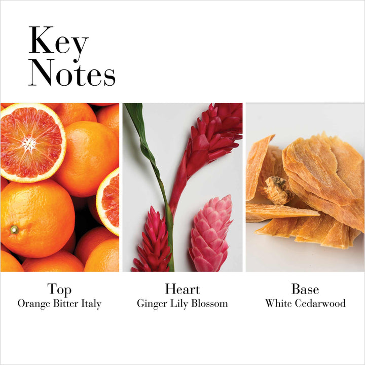 Key Notes- Top Orange Bitter Italy, Heart Ginger Lily Blossom and Base White Cedarwood