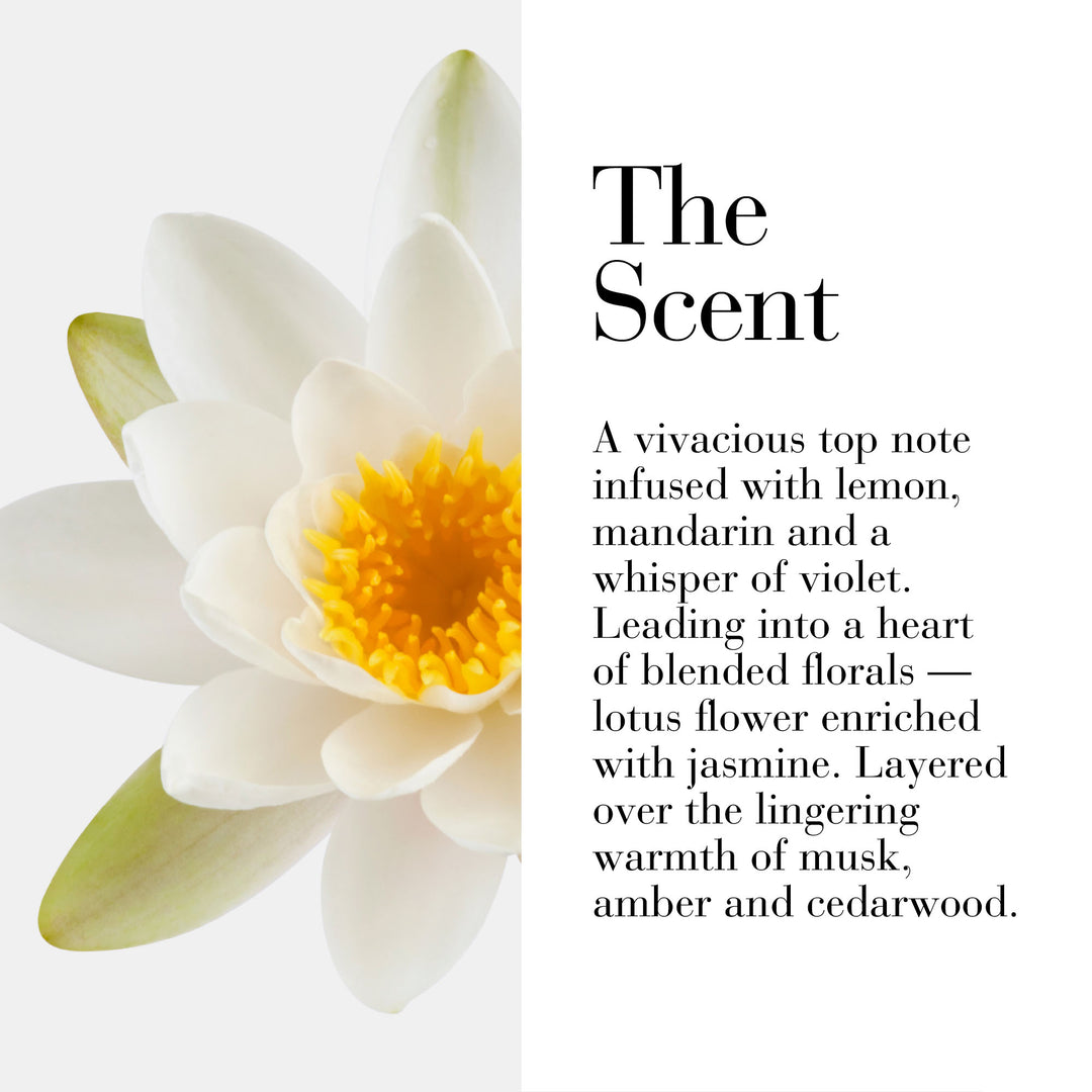 The scent. A vivacious top note infused with lemon, mandarin and a whisper of violet. Leading into a heart of blended florals - lotus flower enriched with jasmine. Layered over the lingering warmth of musk, amber and cedarwood.