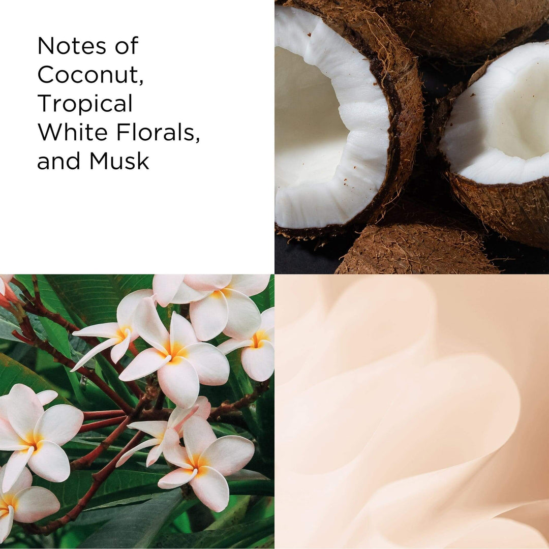 Ingredients: Notes of Coconut, Tropical White Florals and Musk