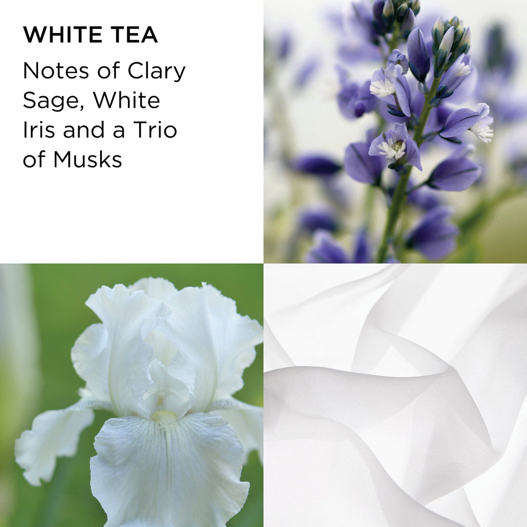 White Tea Pure Indulgence Body Cream