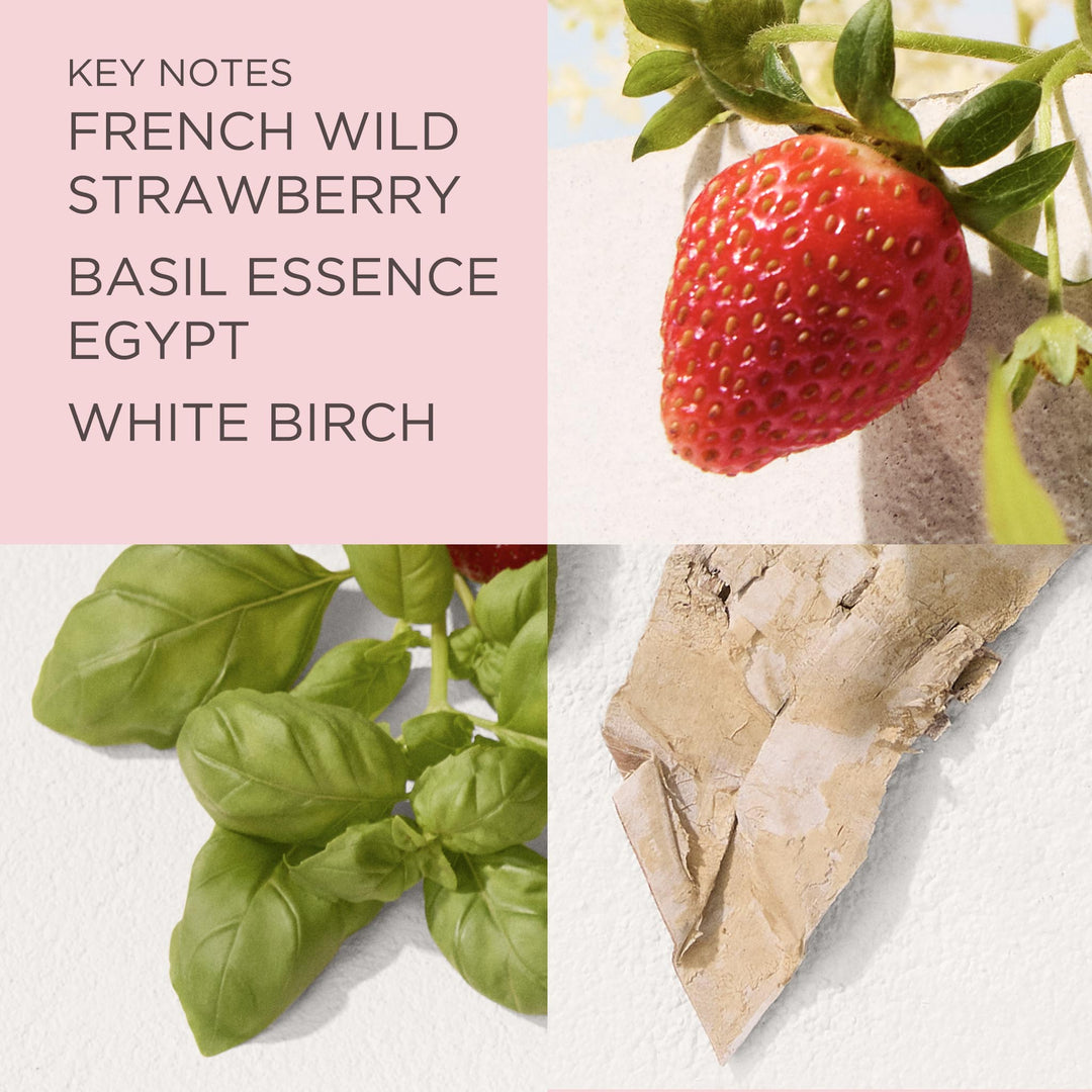 Key Ingredients include French Wild Strawberry, Basil Essence Egypt and White Birch