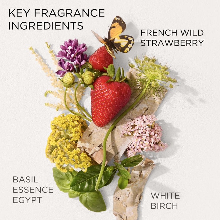 Green Tea Strawberry Basil Honey Drops Body Cream Key Fragrance Ingredients include French Wild Strawberry, Basil Essence Egypt and White Birch.
