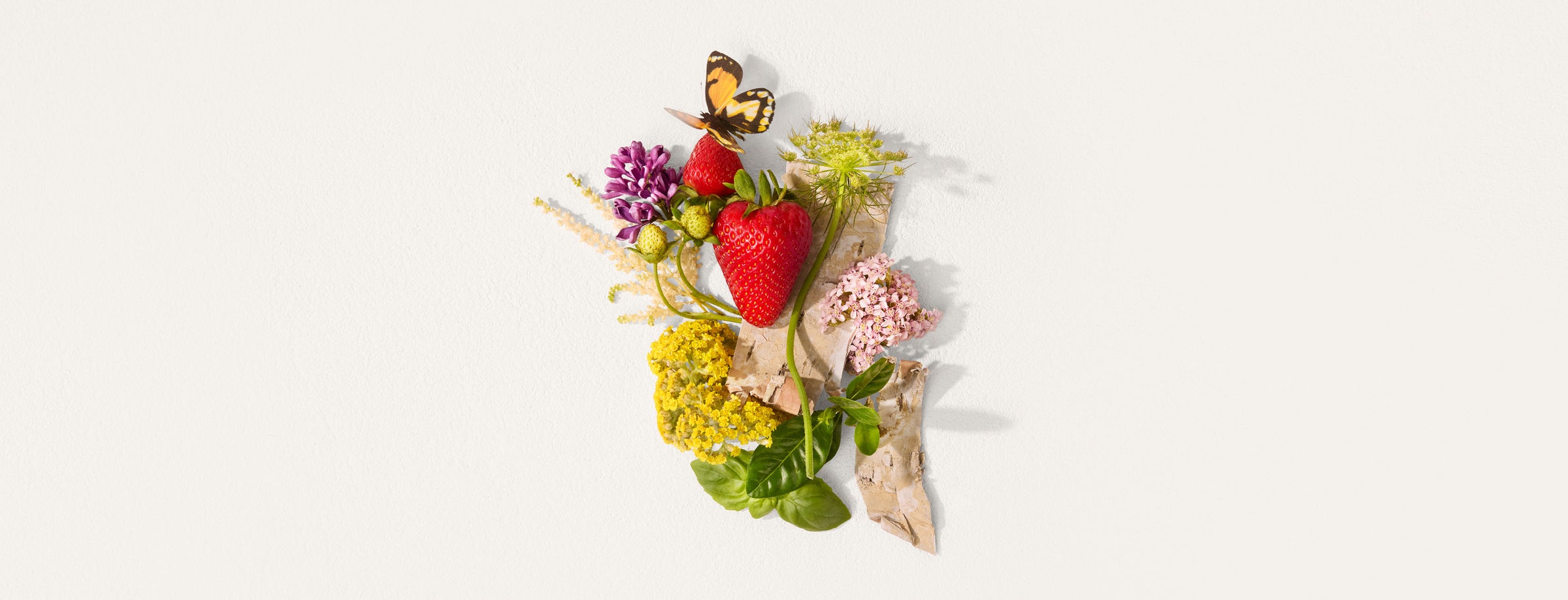 Arrangement of strawberries, basil, flowers, and white birch on a white background