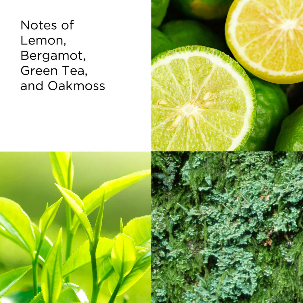 Key ingredients- Lemon, bergamot, green tea and oakmoss